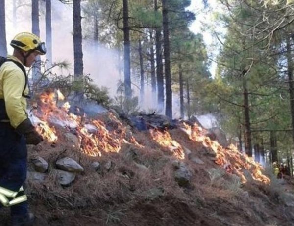 Riesgo de incendios forestales en Gran Canaria