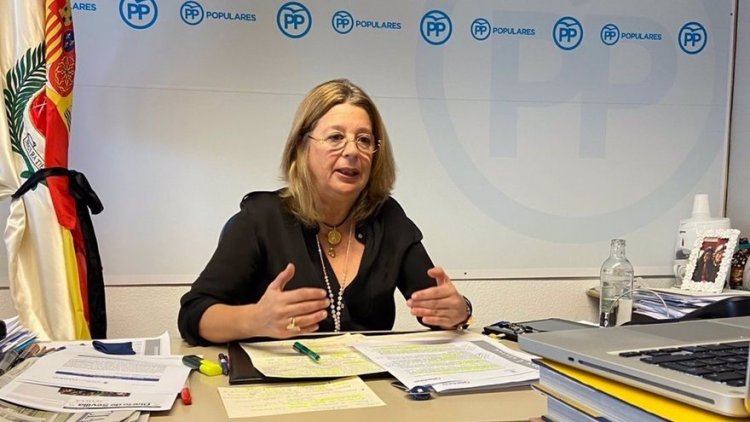 El PP impugnará por vía judicial el pleno de Las Palmas por no ser presencial