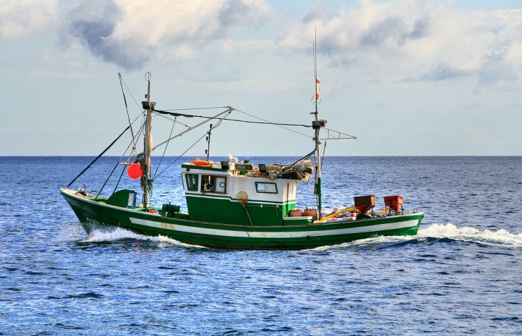 El Gobierno de Canarias reparte 900.000 euros entre las cofradías de pescadores