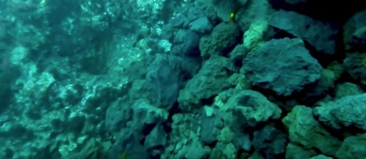 La ULPGC comparte las primeras submarinas de la fajana de La Palma