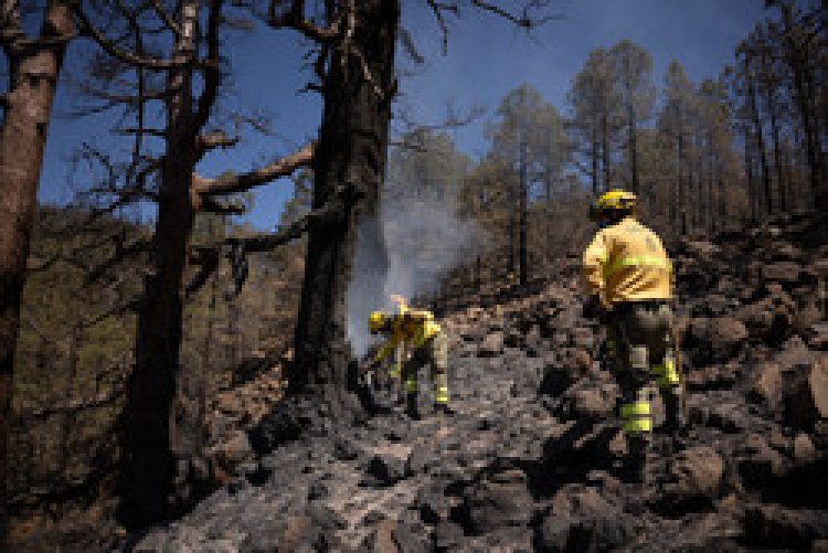 El fuego afectó este verano a tres mil hectáreas de monte en Tenerife