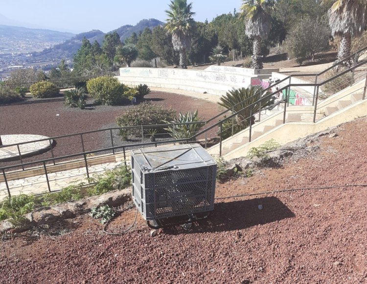 La UPMA levanta varias actas por riesgo medioambiental en Mesa Mota de La Laguna