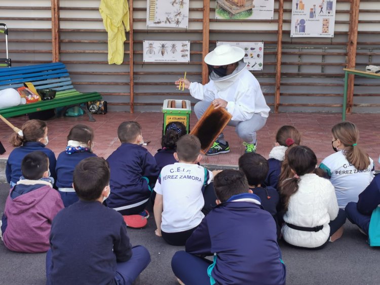 Escolares de Los Realejos se acercan a la apicultura a través de la ‘Colmena ambulante’