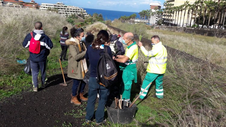 Puerto de la Cruz imparte un curso para el control de la flora exótica en el municipio