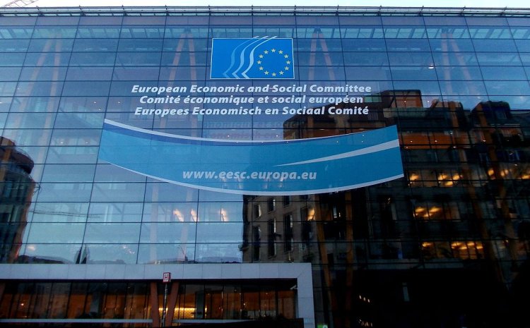 El Comité Económico y Social Europeo apuesta por Canarias para favorecer avances a nivel mundial