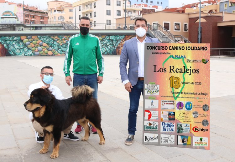 Los Realejos acoge este domingo un concurso canino solidario con protectoras de La Palma