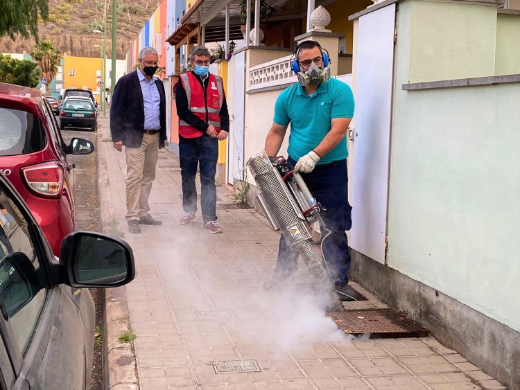 Finaliza un plan de choque antiplagas a través de humo insecticida en Marzagán (Las Palmas)