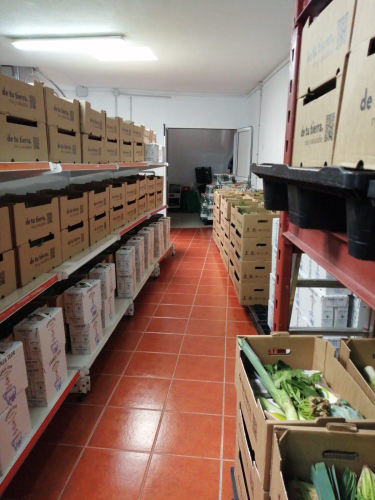 Candelaria se suma a la iniciativa de fomento de alimentación saludable impulsada por el Gobierno de Canarias y la FECAM