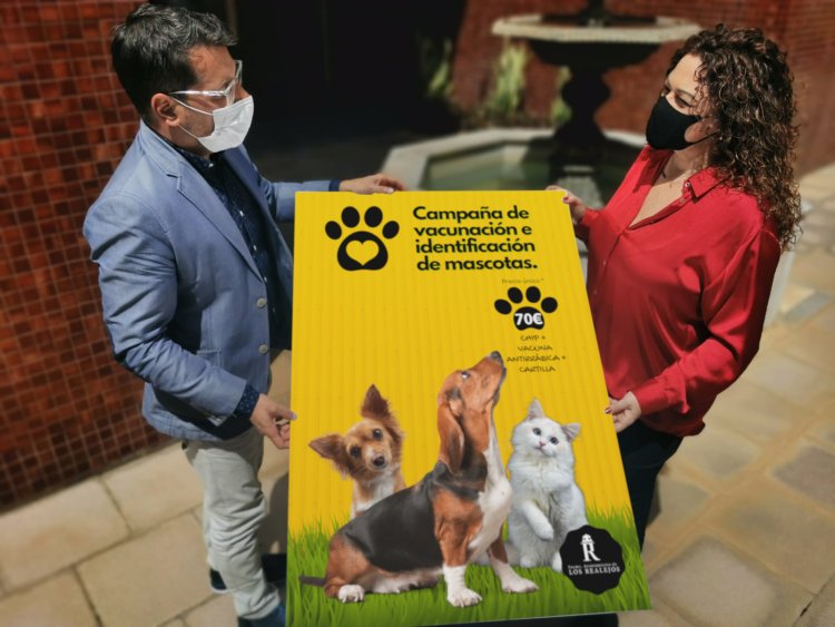 Los Realejos presenta una campaña de vacunación e identificación de mascotas con las veterinarias