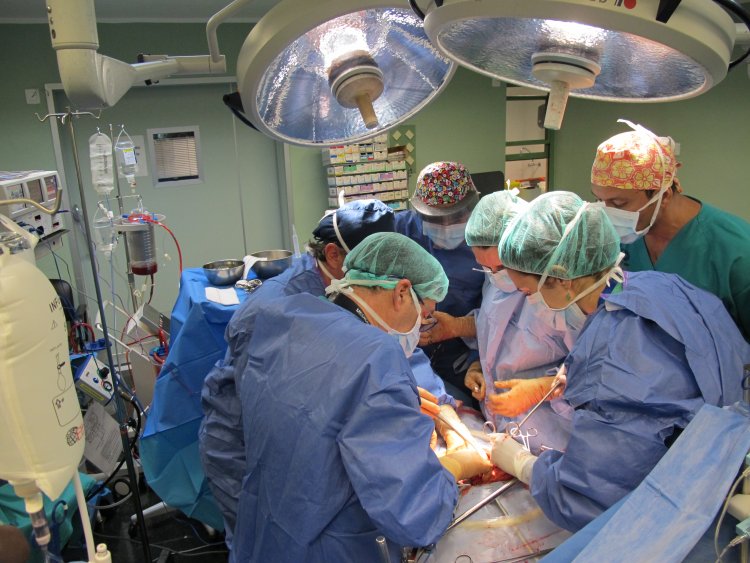 Canarias realizó 78 trasplantes de órganos en los cinco primeros meses del año