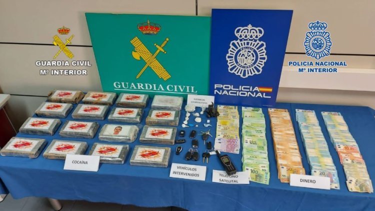 Cae una de las redes más activas en el tráfico de cocaína en Canarias