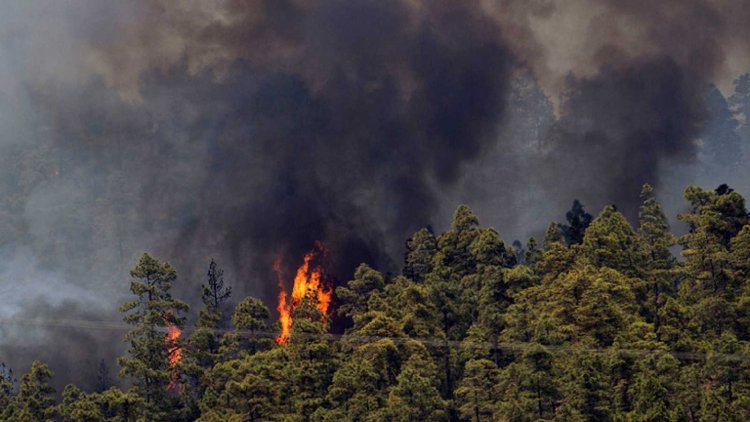 La lucha contra el fuego en Tenerife se centra en 2 frentes en una zona de monte 'complicada'