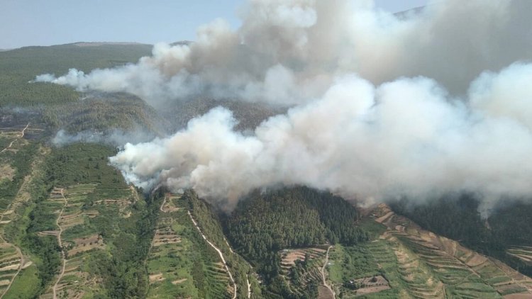 Más de 200 efectivos participan en el dispositivo de extinción del incendio forestal en Tenerife