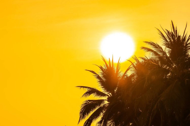 Los termómetros bajarán algo el lunes en Canarias