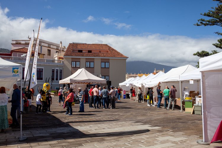 Éxito total de la primera edición de la Feria de la Miel de Tenerife en La Orotava