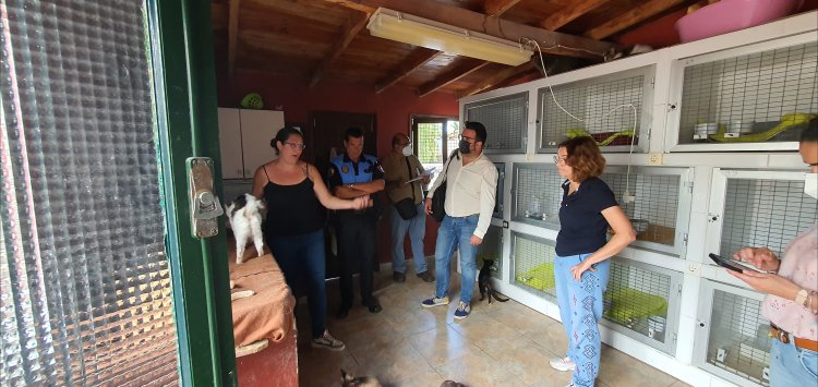 El Ayuntamiento de Puerto de la Cruz decreta el cese de la actividad de la protectora de gatos ‘La Rosaleda’