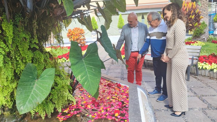 Puerto de la Cruz se llena de acciones florales con la colaboración de colegios e institutos