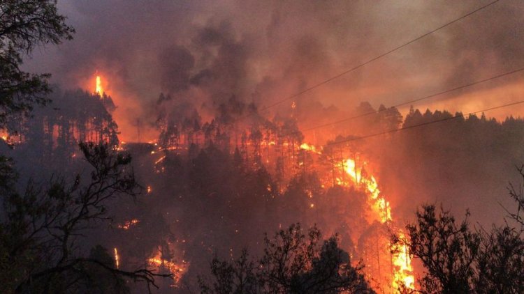El fuego de La Palma ha dañado sesenta inmuebles, de ellos nueve son viviendas