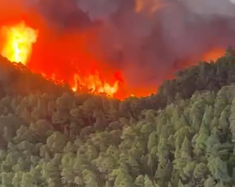 El incendio afecta ya a doce municipios y la lucha se centra en el entorno de Izaña