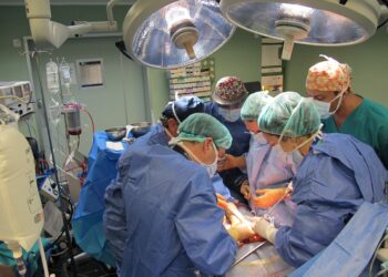 Los profesionales del SCS realizaron 270 trasplantes de órganos en 2024