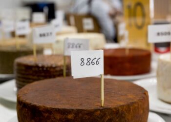 Seis quesos canarios aspiran a convertirse en el mejor de España durante el Salón Gourmets de Madrid