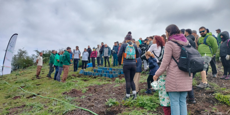 250322 TUI CF - Voluntariado (132)