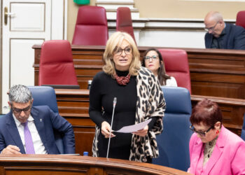 El SCS ya cuenta con el Plan Funcional del futuro Consultorio Local de Puntallana