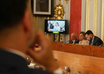 La concejala de Coordinación Territorial, Aguas, Carnaval y Fiestas, Inmaculada Medina, durante su intervención en el Pleno de marzo