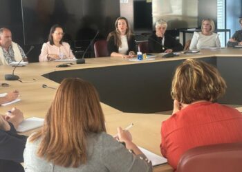 Bienestar Social organiza una reunión de trabajo con los ayuntamientos para codiseñar el Plan Integral de Mayores