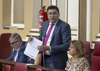 Pérez del Pino (PSOE) acusa el director del Servicio Canario de la Salud de «esconderse» del control parlamentario