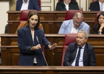 El PSOE pregunta a Domínguez qué votarán los diputados del PP de las islas con el decreto sobre menores