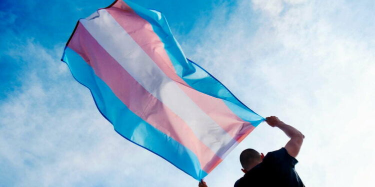 Colectivos trans denuncian ante la Diputación del Común la discriminación sanitaria en Canarias