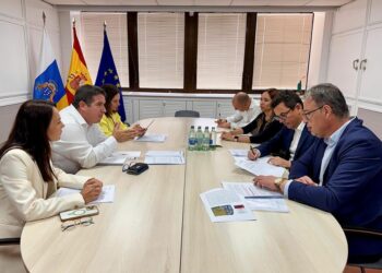 Puerto del Rosario contará con una nueva promoción de 800 viviendas entre promociones públicas y privadas