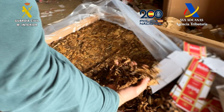 Más de 300.000 cajetillas intervenidas y siete detenidos en una operación contra la fabricación clandestina de tabaco