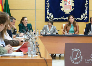 El Cabildo aprueba un nuevo Plan Económico Financiero garantista con los servicios esenciales