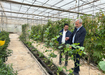 Abierto hasta el 23 de abril el plazo para solicitar plaza en los centros de FP agraria y pesquera de Canarias