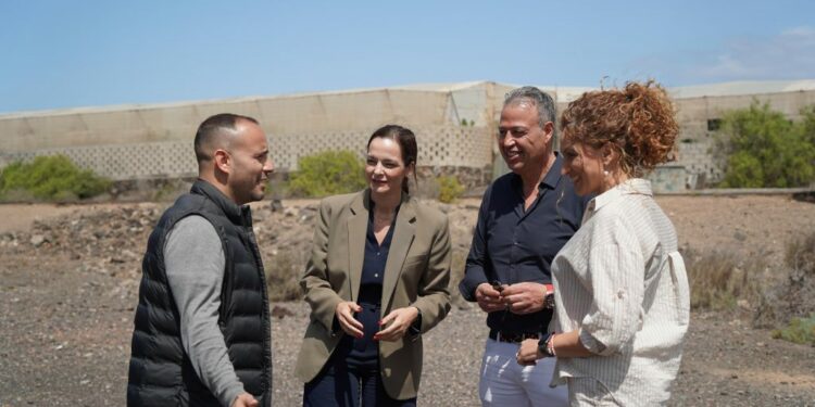 Arona. Viviendas Las Rosas