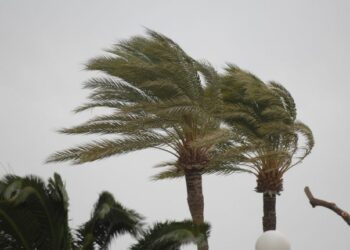 El Cabildo de Fuerteventura desactiva el PEIN tras la finalización de la alerta por vientos