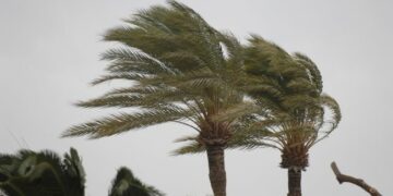 El Cabildo de Fuerteventura desactiva el PEIN tras la finalización de la alerta por vientos