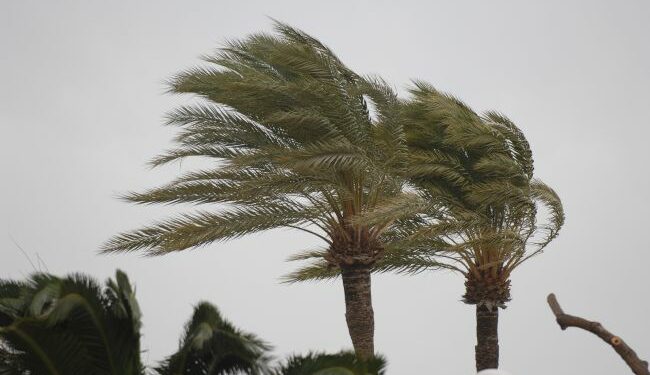 El Cabildo de Fuerteventura desactiva el PEIN tras la finalización de la alerta por vientos