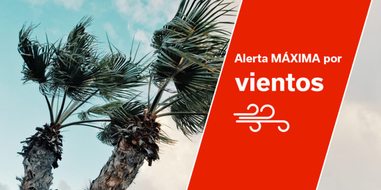 El Gobierno declara la situación de alerta máxima por vientos en La Palma y Tenerife