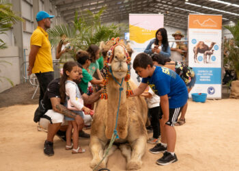 Dromemilk Camel Bio Farm, la Fundación Chekipa y la Asociación para la Conservación del Camello Canario participan en Feaga con talleres y acciones educativas