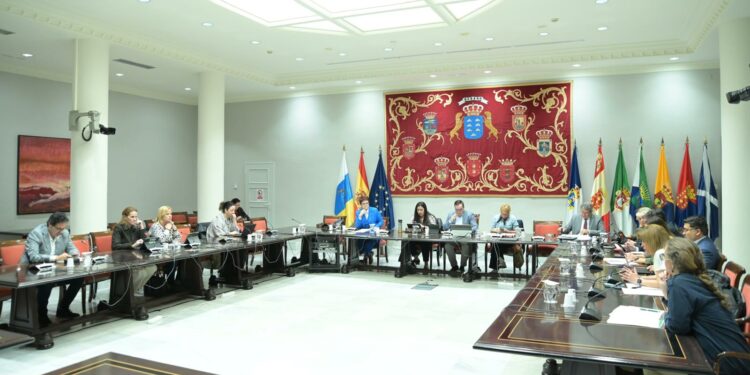 Canarias contará en junio con cinco centros para atender a las mujeres víctimas de violencias sexuales