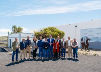 Comité Ejecutivo FECAM 11 abril 2025