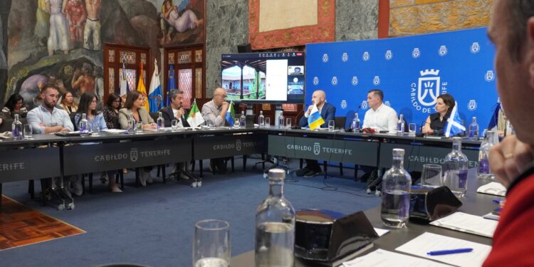 El Gobierno presenta el proyecto de reforma de la Ley de Patrimonio Cultural en el Consejo Autonómico