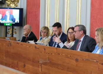 El Pleno aprueba el inicio de la modificación menor del Plan General de Ordenación en Casa Ayala