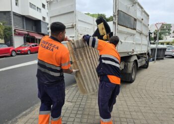 El servicio online de cita previa para la recogida de trastos gestiona 5.000 solicitudes en los cinco últimos meses (3)