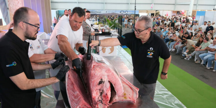 Cientos de personas degustan una pieza de 305 kilos en el ronqueo del atún de FEAGA
