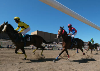 Miles de personas presencian el II Interprovincial de Caballos de FEAGA