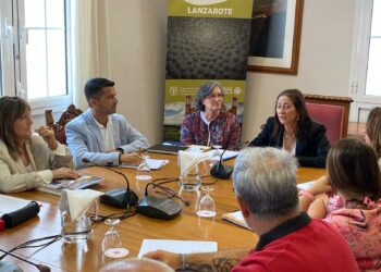 Educación se reúne con centros de Lanzarote y La Graciosa para iniciar la ejecución de espacios de sombra